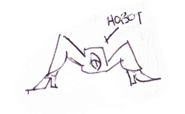 bot